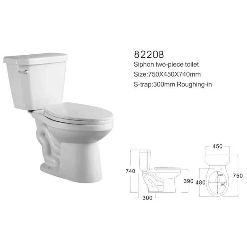 Factory Directly White Color Wares White 2 Piece Toilet S Trap Set Ceramic Sanitary Luxury Toilet Wholesale Ceramic Toilets Bathroom Sanitary Ware Ceramic Washdown 2 Piece Toilet 05 8220B Factory Directly White Color Wares White 2 Piece Toilet S Trap Set Ceramic Sanitary Luxury Toilet - الصورة 6